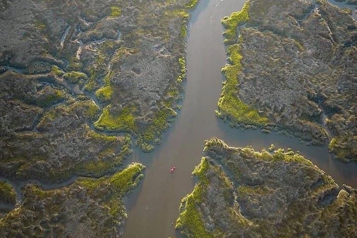 Guided Kayak Tour (Broad Creek)